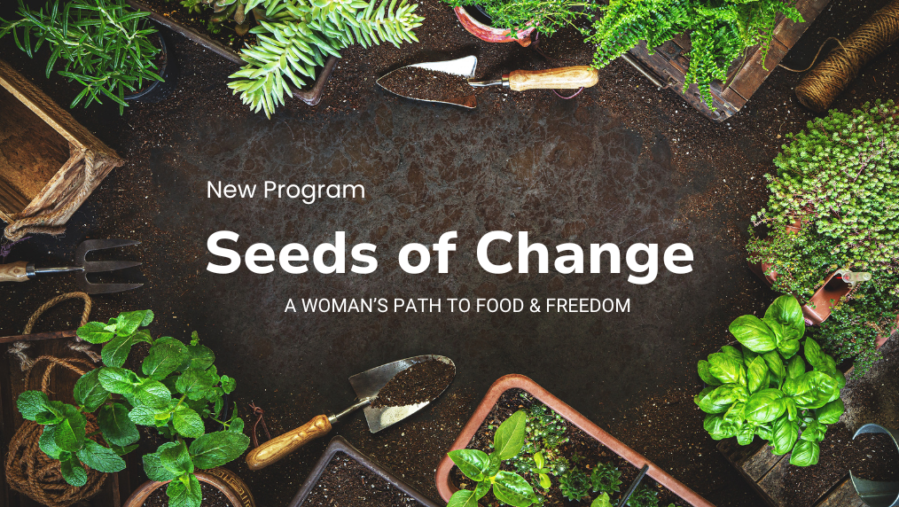 Seeds of Change